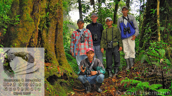 Capacity building for bird research in Guatemala