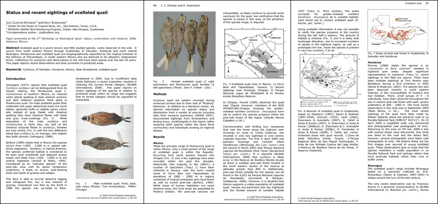 Status of Ocellated Quail