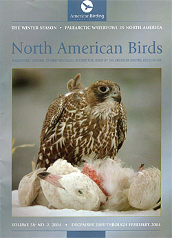 North American Birds