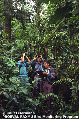 Contadores de aves en el bosque nuboso de la Sierra Sacranix.