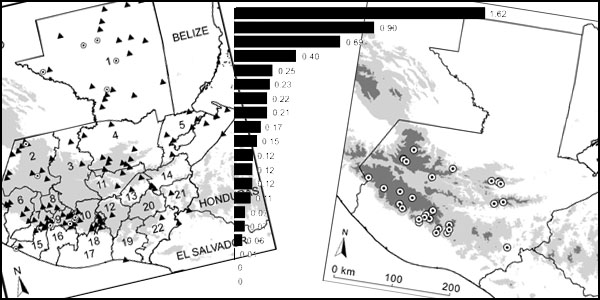 Bird diversity and distribution in Guatemala